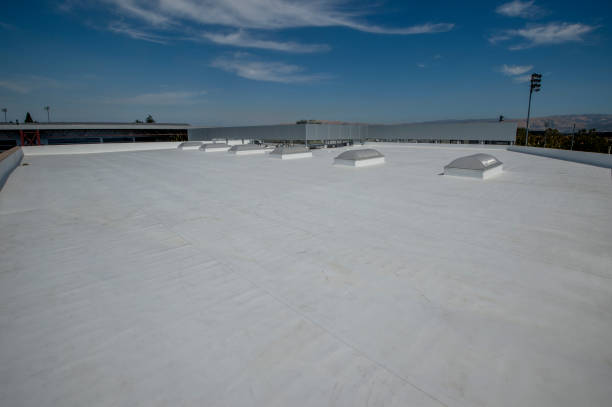 Best Emergency Roof Repair Services  in Frankenmuth, MI