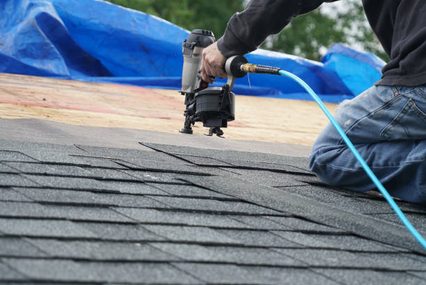 Best Chimney Flashing Repair  in Frankenmuth, MI