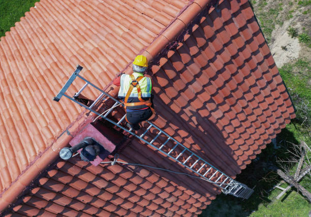 Best Siding  in Frankenmuth, MI