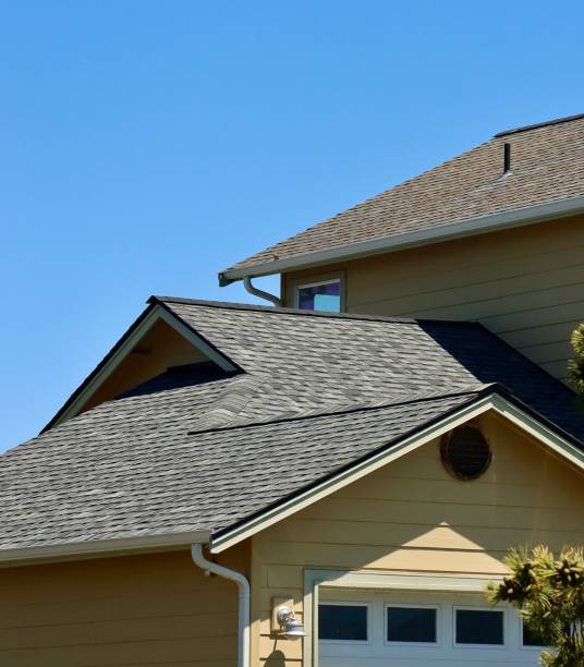 Best Roof Inspection  in Frankenmuth, MI